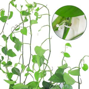 Crochets muraux pour plantes murales, 30 pièces, suspension sans trou, porte-vigne pour plantes murales grimpantes - Product Image 1