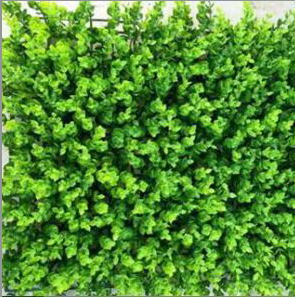 Type de plante artificielle en plastique d'<span class=keywords><strong>herbe</strong></span> d'eucalyptus - Product Image 2