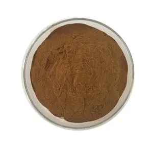 Factory Direct Sales 20:1 Organic Dandelion Root Extract Powder