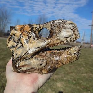 Venta al por mayor de figuras de calaveras de dinosaurio de cristal chino Crystalhol y Aura, de 5-6 cm, artesanías de Feng Shui de alta calidad para el hogar - Product Image 4