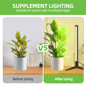 مصابيح تنمو على سطح الطاولة للداخل ، طيف كامل أحمر أزرق ، طيف أبيض ، مؤقت تلقائي ، ضوء نمو نبات LED - Product Image 3