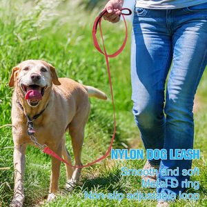 थोक टिकाऊ नायलॉन चिंतनशील प्रिंट रिबन प्रशिक्षण पालतू जानवर लीड नरम पंखा समायोज्य विरोधी पर्ची कुत्ते पट्टा - Product Image 6
