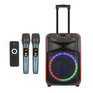 2023 Outdoor meeting party colorful trolley 12 inch bass bt5.0 LED light remote control karaoke wireless speaker with microphone