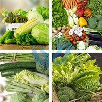 Centrifugale groente- en fruitdroger