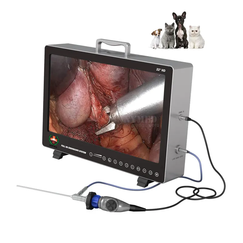 Attrezzatura laparoscopica veterinaria sistema di immagini endoscopiche funzione di registrazione video usb sistema di endoscopia cmos full hd 3 per cani/gatti