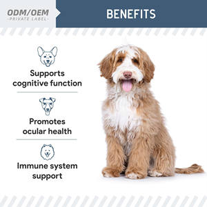 OEM/ODM Senior Dog Vision &amp; Cognition Chews - 7-in-1 Multivitamin for Eye Care &amp; Brain Health <strong>with</strong> Omega 3 6 9 for <strong>Old</strong> Dogs - Product Image 5