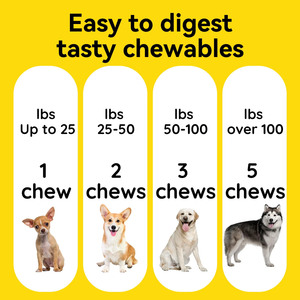 Cúrcuma MSM glucosamina condroitina suplemento alimenticio para perros mascota cadera cuidado de las articulaciones alivio del dolor glucosamina masticables - Product Image 5