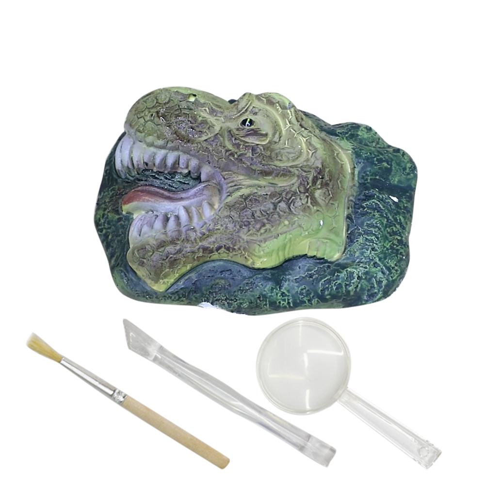 STEMサイエンスギフト考古学掘削T-rexdinoヘッドシェイプ恐竜