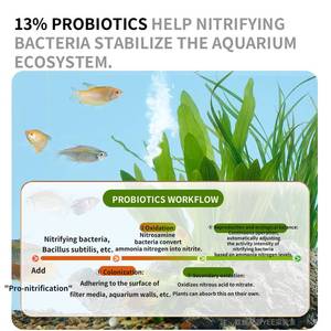 Capsules de bactéries nitrifiantes de qualité supérieure en gros de <span class=keywords><strong>l</strong></span>'usine YEE, stimulent le biofiltre, démarrage et stabilisation de la qualité de <span class=keywords><strong>l</strong></span>'<span class=keywords><strong>eau</strong></span> de <span class=keywords><strong>l</strong></span>'aquarium - Product Image 3