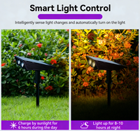 Nouvelle lampe LED solaire extérieure en plastique, indice IP65, lumière du jour 6000K, angle de faisceau 120°, éclairage d'arbres et décoration de jardin