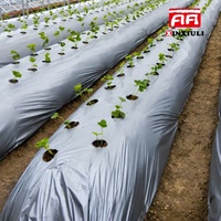Film de paillage agricole noir et argenté en plastique PE, anti-herbe, rétention de chaleur et d'humidité, lutte antiparasitaire, résistant aux UV