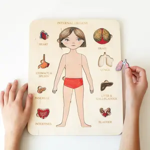 Baby Holz anatomische Puzzle von menschlichen Organen Holz Körper kognition Lern bildung Mehr schicht ige Bretts pielzeug für Kinder