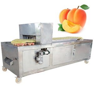 Machine à dénoyauter industrielle professionnelle pour pruneaux, cerises, pêches, abricots, poires / Machine à séparer les graines de pruneaux et de piments - Product Image 4