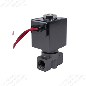 Válvula Solenoide Electromagnética de Gas COVNA de 90 Días, Rosca NPT de 1/4 de Pulgada, Normalmente Cerrada, 12V 220 Voltios - Product Image 6
