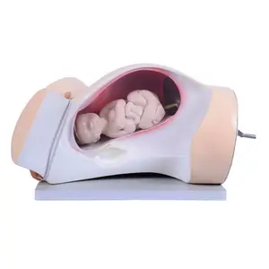 Mecanismo de entrega demostración Simulador de obstetricia de nacimiento maniquí