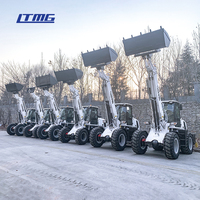 2024 LTMG 1t 2.5ton 4wd boom chariot élévateur compacté petit mini chargeur sur pneus télescopique télescopique