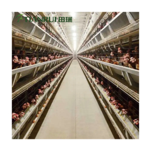 Cage en batterie pour élevage de poules pondeuses de meilleure qualité à bon prix à vendre - Product Image 3