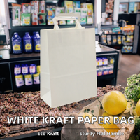 Sac en papier kraft recyclable de luxe avec poignées torsadées et bec verseur pour l'emballage de masques faciaux, la livraison, les plats à emporter, les achats, les cadeaux et les créations artisanales