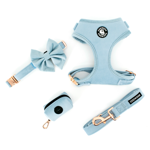 Conjunto de Collar y Correa Ajustables para Perro al por Mayor, Arnés de Lujo de Pana Suave, Kit Personalizado de Collares y Correas para Mascotas - Product Image 3