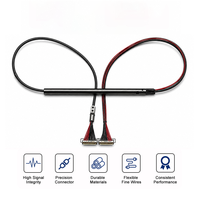 Câble coaxial micro LVDS personnalisé ICAPE, assemblage 30 broches, pas de 0,5 mm, conducteur PFA/FEP SPC, connexion PC/PCB OEM/ODM