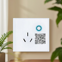 Caractéristiques avancées Dispositif de protection contre les surtensions pour prise murale WiFi intelligente 16A avec fonctionnalités améliorées