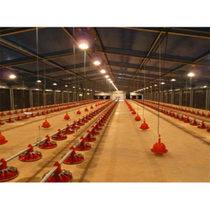 Thiết kế mới hen Coop gia cầm đổ bò trang trại Gà Thịt coops chạy chuồng gà cho vật nuôi yêu quý của bạn ngoài trời gia cầm lồng hen nhà - Product Image 2