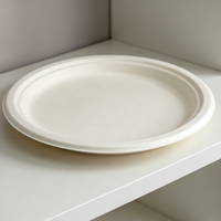Assiettes rondes en bagasse de 10 pouces, sans arbre, compostables, jetables, biodégradables, compatibles micro-ondes et congélateur, pour fêtes