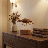 Ornement cinétique en bois massif fait main, tortue de mer, directement de l'usine, un accent apaisant pour le bureau et la décoration intérieure.