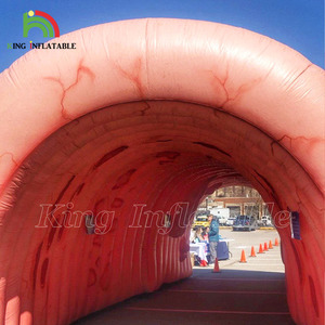 Túnel Inflable de <span class=keywords><strong>Colon</strong></span>, Órgano Intestinal Grande, para Exhibiciones Médicas, Eventos Hospitalarios y Centros Médicos - Product Image 6