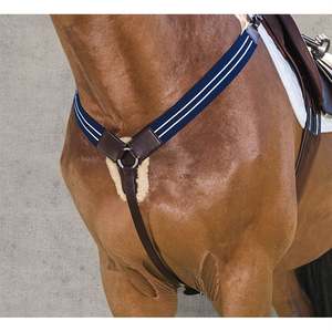 Kincade Elastic Y Fit Plaque de poitrine - Product Image 4