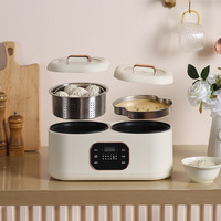 Meilleur Cuiseur à Riz Électrique Compact de Haute Qualité avec Minuteur Numérique Multifonctionnel pour Cuisine Domestique et Tasse Mesureuse
