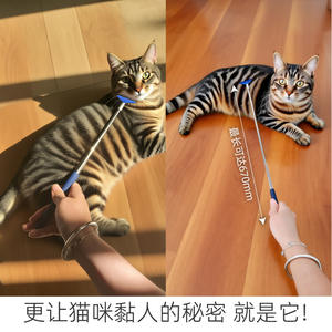 Rascador de espalda extensible de acero inoxidable para mascotas, aliviador de picazón para gatos y perros, herramienta de aseo - Product Image 3