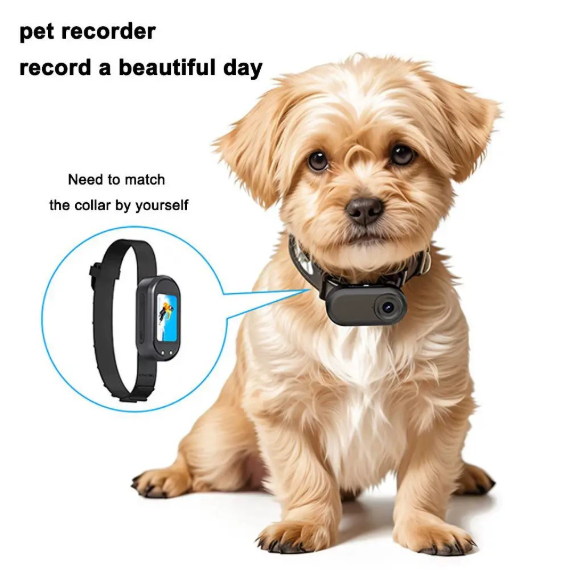 2026 Dog Collar Camera 1080P High-Definition 120 Degree Wide-Angle Rechargeable Mini Sport Action Print Adjustable Plastic