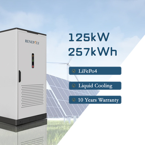 Renepoly EU Stock 125kW 257kWh LiFePO4 BESS ระบบกักเก็บพลังงานสำหรับอุตสาหกรรมและเชิงพาณิชย์ โซลูชั่นพลังงานไมโครกริด พร้อมจัดส่ง - Product Image 1