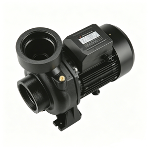 Pompe centrifuge solaire SCPM 72V à courant continu sans balais à haut débit pour l'irrigation agricole et le transfert d'eau, à économie d'énergie - Product Image 5