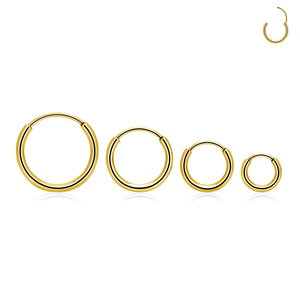 Astm F136 Titanium 16G cơ bản xuyên mũi vách ngăn Hoop nhẫn bông tai sụn Pop tragus Helix Stud cổ điển unisex pierc - Product Image 4