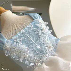 Blue Elegant Pet Wedding Dress Dog Princess Dress For Spring Summer