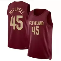 Cleveland Cavaliers 2023 Basketball Jersey Throwback Men Women Youth  Stitched Jerseys - China Wholesale Basketball Jersey and Cavaliers  Basketball Jersey price