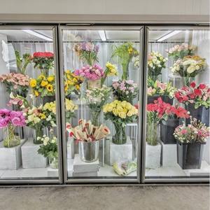 Abbattitore di Temperatura e Congelatore con Garanzia di Un Anno per Macellerie e Lavorazione della Carne - Product Image 1