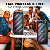 Altavoz de Karaoke Inalámbrico con Dos Bocinas de 6.5 Pulgadas, Luces LED RGB para Fiestas, Micrófono Inalámbrico, Batería Integrada, para Exteriores, 5.4