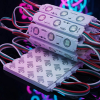 WS2811 5050 RGB Módulo de luz LED Direccionable 12V 75*15mm Tamaño a todo color Impermeable IP65 3LED 5W Potencia Rosa Emisión