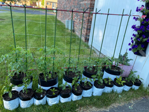 Proveedor de Fábrica, Bolsas de Cultivo de Película Duradera Resistentes a los Rayos UV, Negras y Blancas, de 1/2 a 30 Galones, Bolsas de Plástico para Plantas de Jardín - Product Image 6