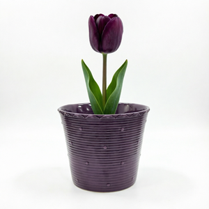 Pots à fleurs en céramique <span class=keywords><strong>de</strong></span> qualité supérieure, 6,5 pouces, violet foncé, à bord festonné côtelé, pour <span class=keywords><strong>une</strong></span> <span class=keywords><strong>d</strong></span>écoration élégante <span class=keywords><strong>de</strong></span> la maison et du jardin, plantes et fleurs <span class=keywords><strong>d</strong></span>'intérieur - Product Image 1