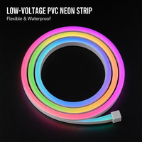 Bande LED Néon Flexible RGB en PVC pour Éclairage Paysager de Bars, Clubs et Bureaux, 24V 2835 96 LED/m IP65 pour Espaces Commerciaux et Hôtels