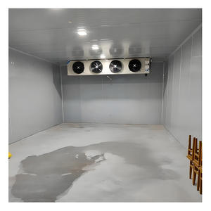 Chambre froide de qualité industrielle avec équipement de refroidissement avancé pour les installations de stockage à grande échelle de viande, de volaille et de glace - Product Image 4
