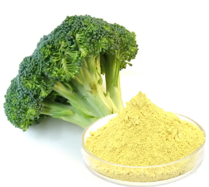 Venta caliente sulforafano suplemento 10% brócoli brote extracto 1% sulforafano en polvo