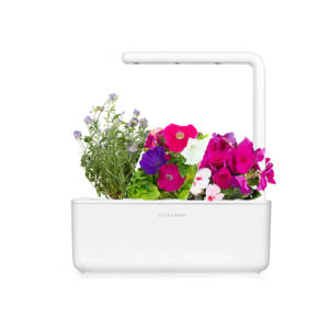 <span class=keywords><strong>Pot</strong></span> de jardin fleuri Pots de fleurs et jardinières Kit petite serre pour la maison pépinière <span class=keywords><strong>en</strong></span> plastique Design sol utilisation Type de paquet - Product Image 1
