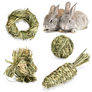 Juego Completo de Juguetes de Alivio para Conejos, Totoros y Gatos, Incluye Bola de Paja Timothy y Snacks Molares Exóticos, Suministros Sostenibles para Mascotas - Product Image 1