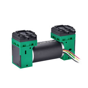PENGPU-microbomba de vacío con regulación de velocidad, Motor sin escobillas de 12v CC, Mini bomba de aire de 24v, diseño de doble cabezal - Product Image 2
