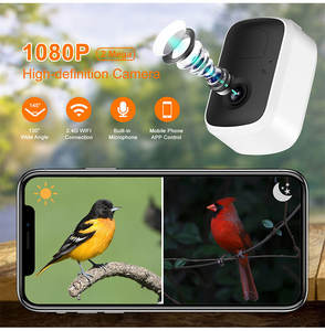 <span class=keywords><strong>Smart</strong></span> Garden Bird Feeder con la macchina fotografica senza fili di monitoraggio della fauna selvatica all'aperto - Product Image 4